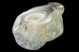 Polished Botswana Agate Nodule - Botswana #146397-2